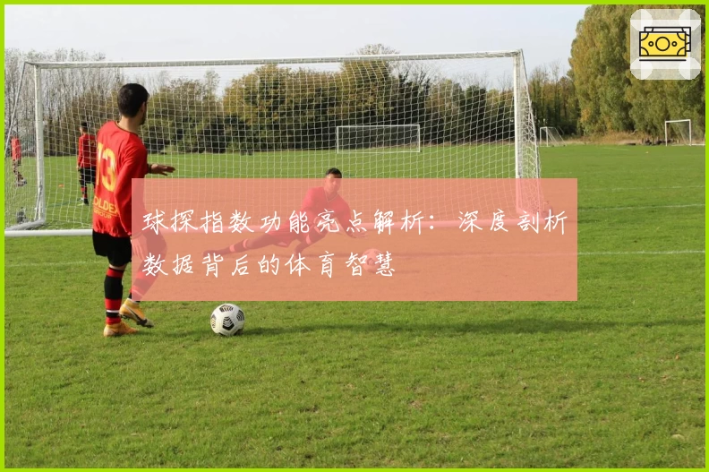 球探指数功能亮点解析：深度剖析数据背后的体育智慧