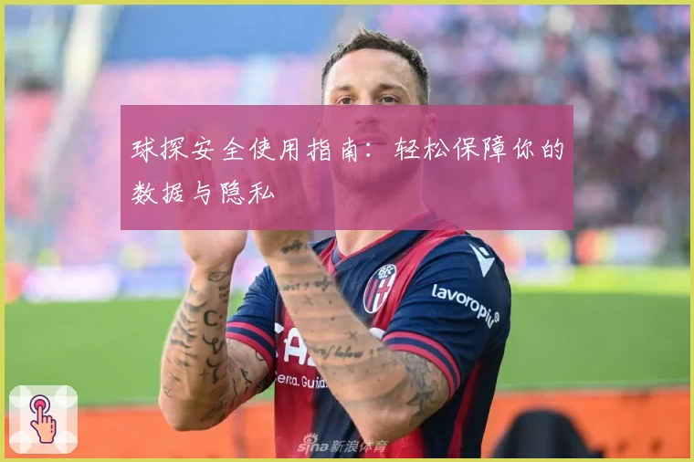 球探安全使用指南：轻松保障你的数据与隐私