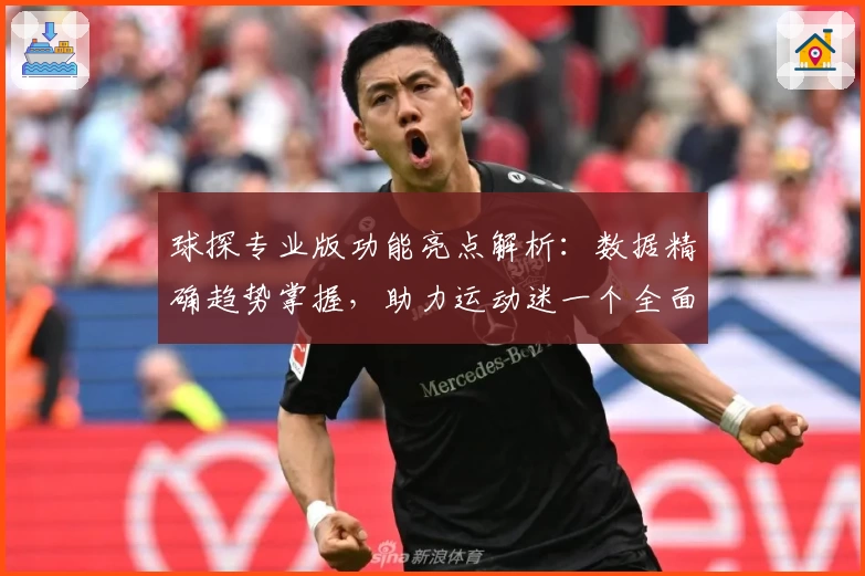 球探专业版功能亮点解析：数据精确趋势掌握，助力运动迷一个全面提升体验